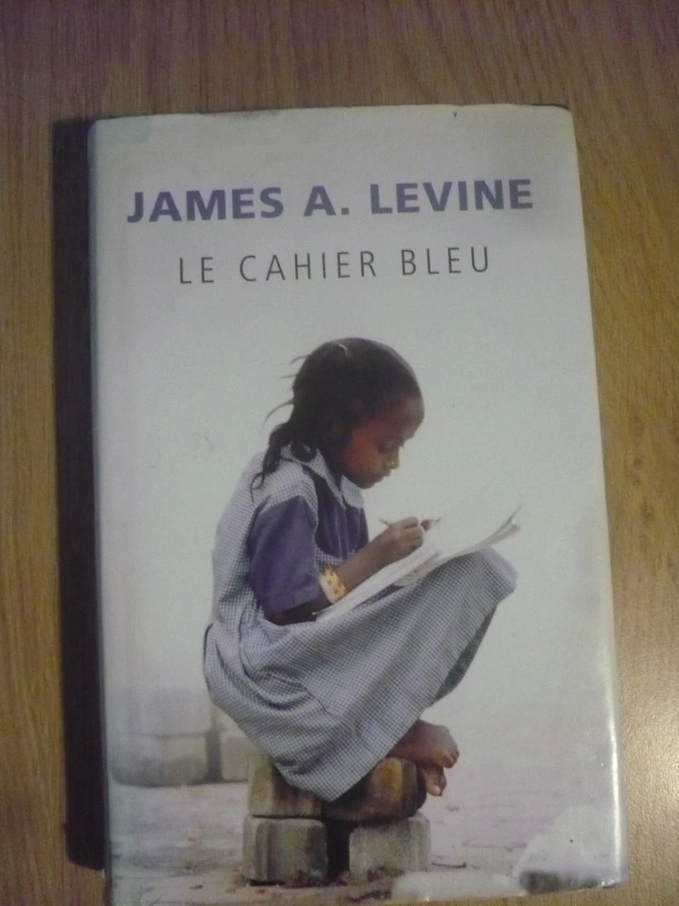 LE CAHIER BLEU de James A. LEVINE (2009)